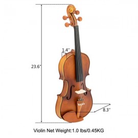 Glarry GV302 Violin 4/4 spruce panels jujube fittings Dark Dumb Light